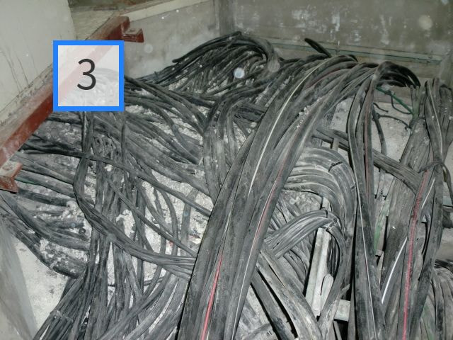 cimg5629d.jpg